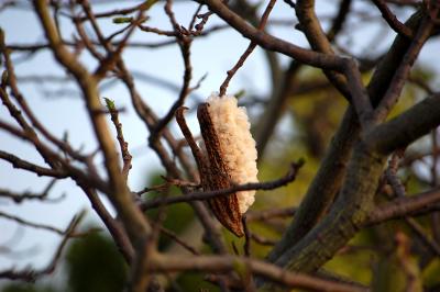 Прикрепленное изображение: 0001s.jpg